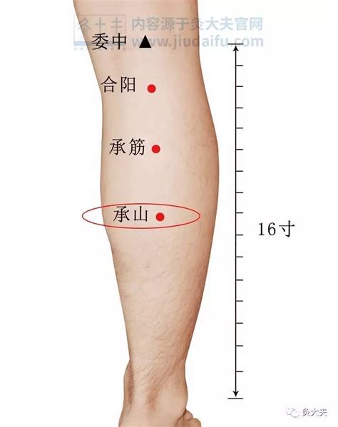 左小腿肚有痣